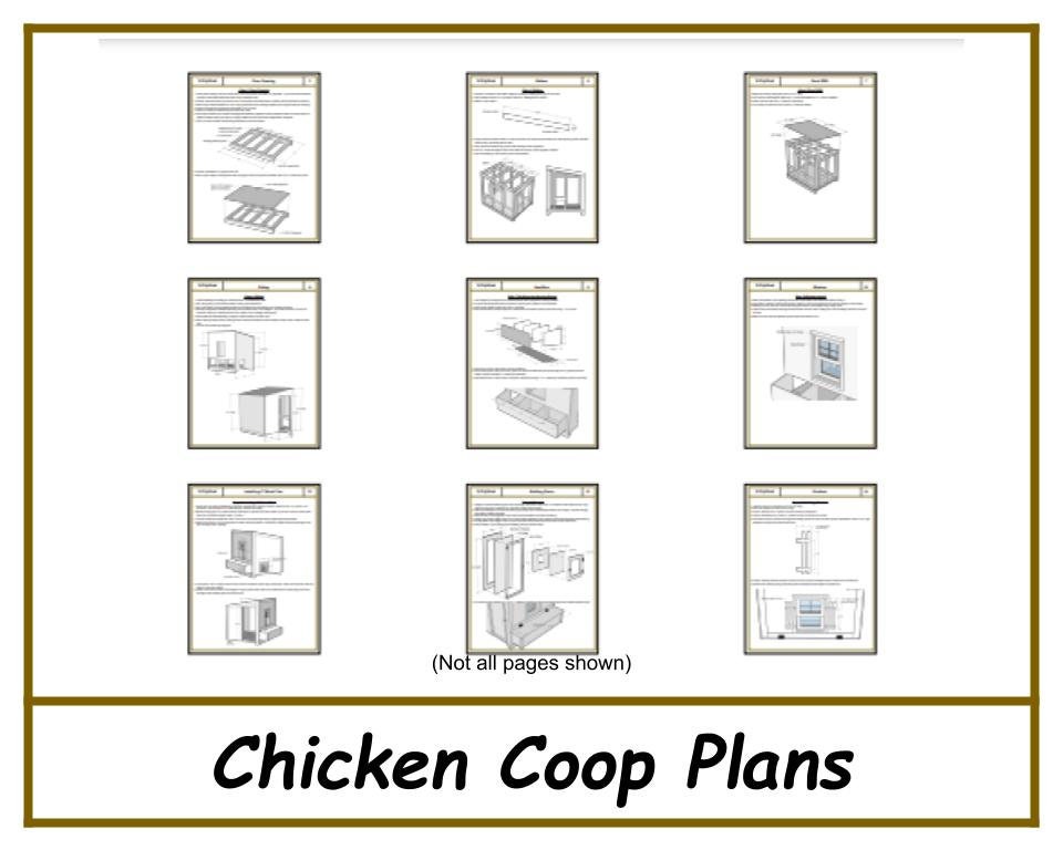 4x5 Chicken Coop Plans-TriCityShedPlans
