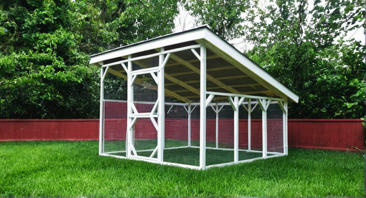 Outdoor chicken coop with a metal roof and wire sides on grass, surrounded by trees and a red fence.