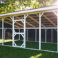 12x20 Chicken Run for Homestead
