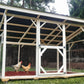 8x12 Chicken Run Plans-TriCityShedPlans