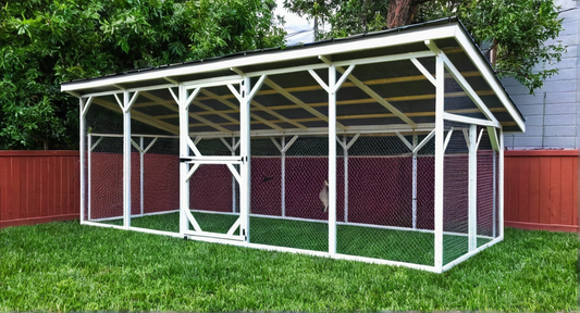 Outdoor Chicken Run with a roof and sides on grass.